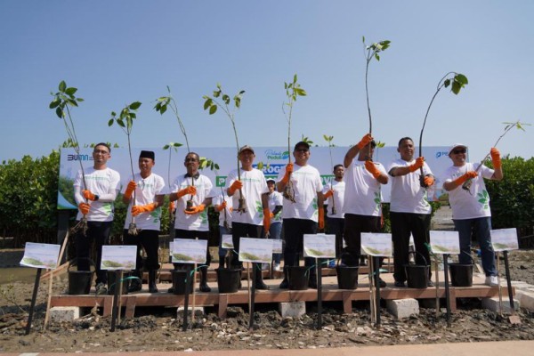 SPMT Tanam 20 Ribu Bibit Mangrove di Desa Sedayu Lawas