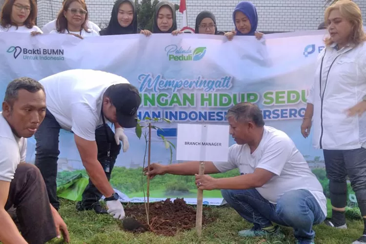 Komitmen Kelestarian Lingkungan, Pelindo Tanjung Emas Tanam 260 Bibit Pohon Tabebuya