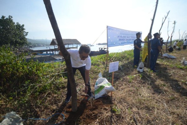 Pelindo Multi Terminal Hijaukan Pelabuhan Tanjung Wangi