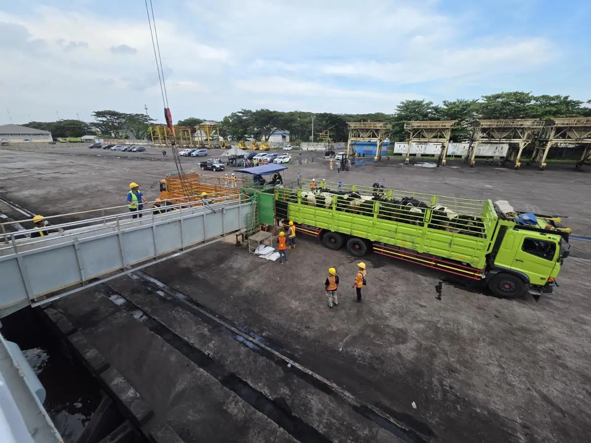 Selama 6 Bulan, 1.138 Sapi Impor Tiba di Tanjung Intan Cilacap